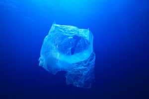 Plastindustrien er bl.a. med i projekt Plastfrit Hav, hvor plast i havet bekæmpes og forsøges forebygget.